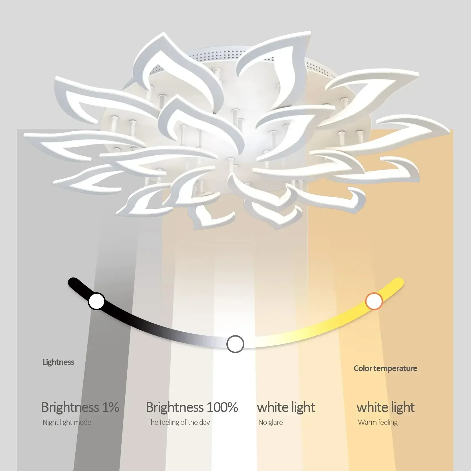 Designer LED-bloemblaadjeskroo - Interior Design Kitchen And Living Room recensie en prijs