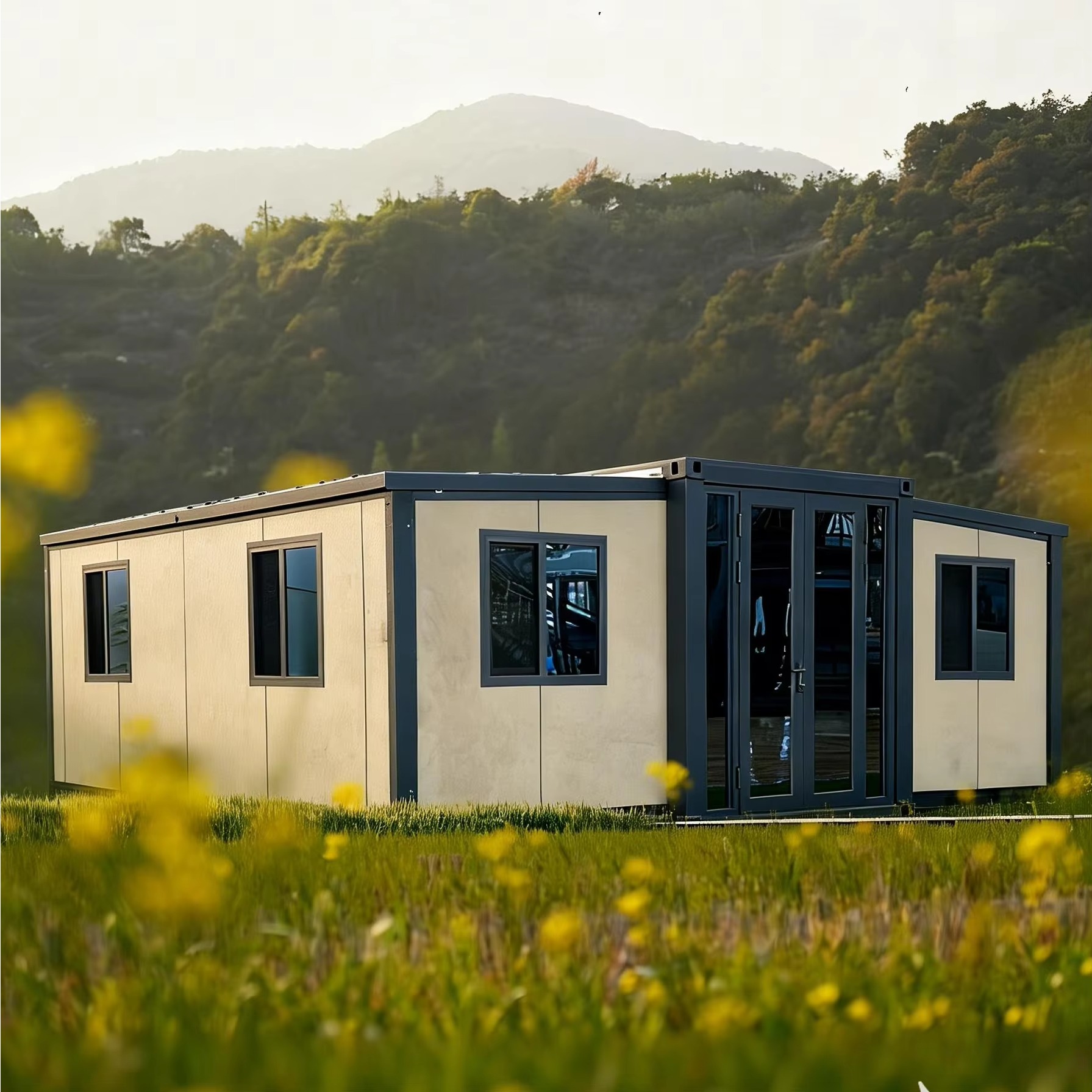20FT 40FT Dubbelvleugelige uit - Interior Design Luxury House recensie en prijs